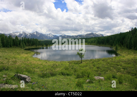 Perevalnoe lago circondato da pini incontaminate foreste e montagne dalle vette innevate, Ulagansky pass, Altai, Siberia, Russia Foto Stock