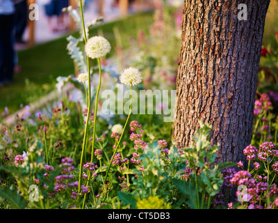 In occasione del bicentenario Laurent-Perrier giardino da Arne Maynard al Chelsea Flower Show 2012 Foto Stock