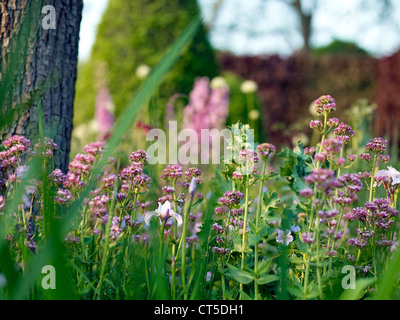 In occasione del bicentenario Laurent-Perrier giardino da Arne Maynard al Chelsea Flower Show 2012 Foto Stock