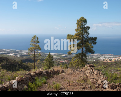 Vista di sud-occidentale di Tenerife Spagna, costa dal sentiero tra Guia de Isora e Chirche Foto Stock