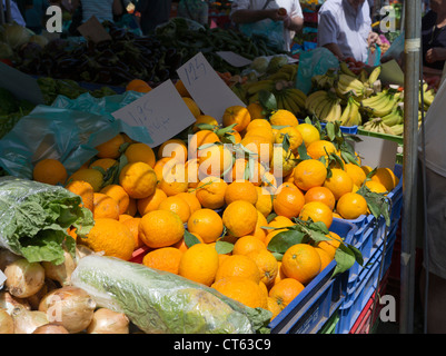 Dh Lefkosia sud mercato NICOSIA CIPRO arance cipriote frutta fresca di stallo del mercato alimentare arancione grecia prodotti locali Foto Stock