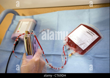 SANGUE DEL CORDONE OMBELICALE Foto Stock