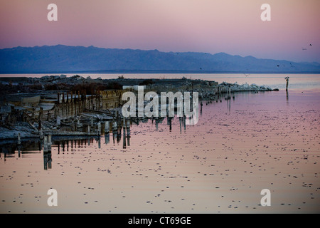 I pesci muoiono a Salton Sea California Foto Stock