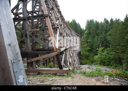 Una vista di lato del traliccio Kinsol bridge Foto Stock