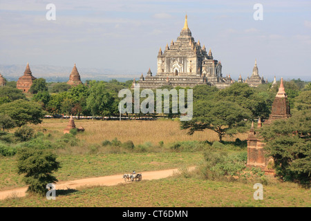 Tempio Thatbyinnyu, Bagan zona archeologica, regione di Mandalay, Myanmar, sud-est asiatico Foto Stock