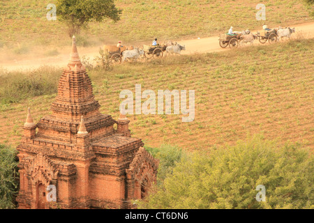 Ox-cart su una strada polverosa, Bagan zona archeologica, regione di Mandalay, Myanmar, sud-est asiatico Foto Stock
