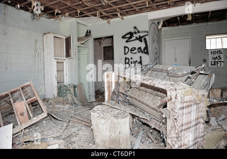 Cestinato edificio abbandonato, due piccioni graffiti, Salton Sea Beach, California, Stati Uniti d'America. Foto Stock