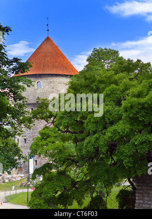 Kiek in de Kok torre. La città vecchia di Tallinn, Estonia. Foto Stock