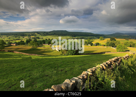 Alba su pascoli Askrigg; Askrigg village, Wensleydale; Yorkshire Dales National Park, England, Regno Unito Foto Stock