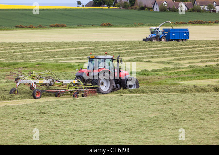 Agricoltore la raccolta di insilato. Grampian Scotland Regno Unito Foto Stock