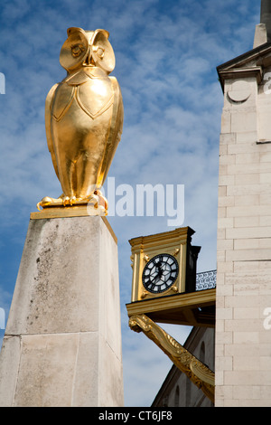 Il gufo di Leeds e la Sala Civica di orologio Leeds West Yorkshire Regno Unito Foto Stock