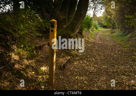 Un modo-marcato post in sunken via del modo Icknield in Dunstable Downs, Chiltern Hills, Bedfordshire, Inghilterra Foto Stock