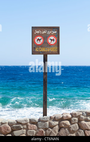 No cammelli e cavalli segno sul lungomare di Dahab, Egitto Foto Stock