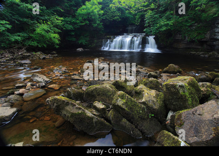 Forza elastica cascata, Fiume Ure, Wensleydale; Yorkshire Dales National Park, England, Regno Unito Foto Stock