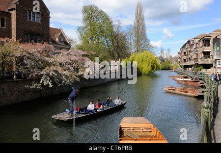 Punting sul fiume Cam in primavera, Cambridge Foto Stock