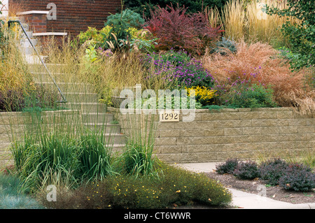 Cortile ANTERIORE GIARDINO IN ST. PAUL, MINNESOTA INCLUDE TALL MOOR E POCO BLUESTEM erbe, ROSE GLOW Crespino, VIOLA ASTER. Caduta. Foto Stock