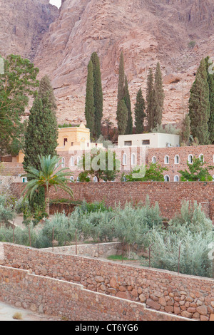 I giardini del monastero di Santa Caterina con il monastero guesthouse dietro, Santa Caterina, Sinai, Egitto Foto Stock