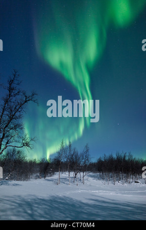 Luci del nord (Aurora Boreale) ondeggiano nel cielo nel nord della Norvegia, Arctic Scandinavia durante il periodo invernale Foto Stock