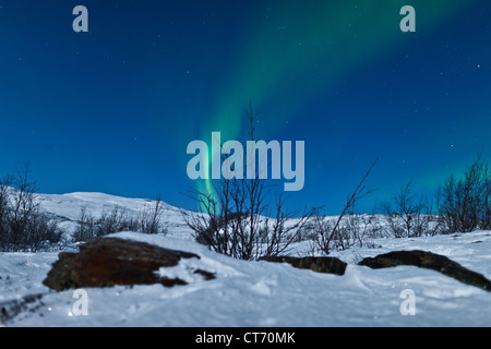 Luci del nord (Aurora Boreale) ondeggiano nel cielo nel nord della Norvegia, Arctic Scandinavia durante il periodo invernale Foto Stock