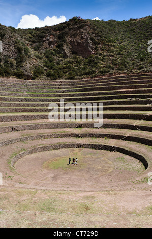 Terrazze circolari costruito dall'Inca di Moray, vicino Urubamba, Perù. Foto Stock