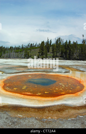 Piscina cromatica, Upper Geyser Basin, il Parco Nazionale di Yellowstone Foto Stock