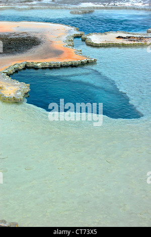 Doppietto piscina, Upper Geyser Basin, il Parco Nazionale di Yellowstone Foto Stock