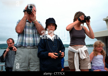 Irlanda Dingle, Dolphin-spotting trip Foto Stock