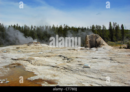 Geyser gigante, Upper Geyser Basin, il Parco Nazionale di Yellowstone Foto Stock