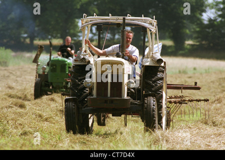 Mecklenburg, i lavoratori agricoli in contatto fieno nel campo Foto Stock