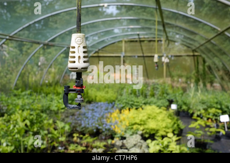 Acqua sistema sprinkler in un impianto commerciale crescente vivaio Foto Stock