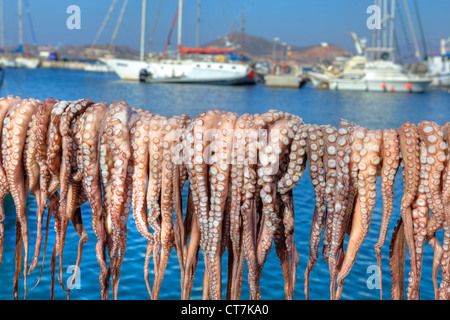 I calamari sono appesi ad asciugare nel porto di Naxos, Grecia Foto Stock