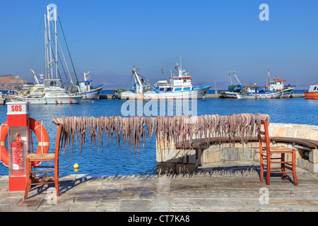 I calamari sono appesi ad asciugare nel porto di Naxos, Grecia Foto Stock