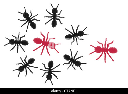 Formiche del giocattolo Foto Stock