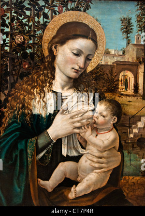 La Madonna e il bambino - Madonna del Latte 1485 Bergognone - Ambrogio di Stefano da Fossano Italiano 1453-1523 Milano Italia Foto Stock