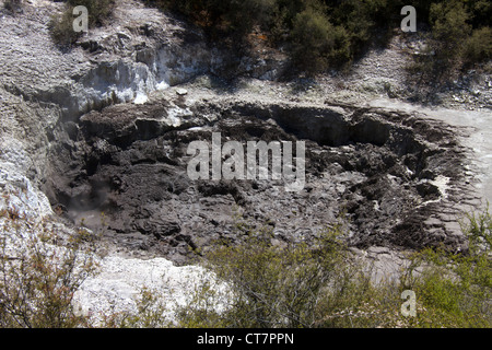 Una delle serie di 'Devil di inchiostro pentole' (piscine di fango bollente) Al Wai-O-Tapu Wonderland termica. Rotorua, Isola del nord, Nuova Zelanda Foto Stock