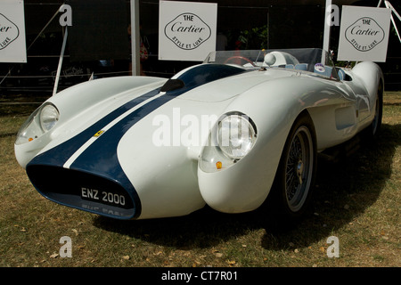 White Ferrari 250 Testa Rossa sbelonging a radio DJ Chris Evans, Goodwood Festival della velocità 2010. © Jonathan Stokes 2010, diritti morali asserito. Foto Stock