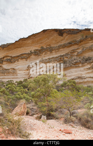 Shothole Canyon Road in Cape Range National Park, Exmouth, Western Australia. Foto Stock