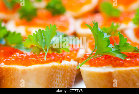 Antipasto russo sullo sfondo. Caviale rosso panini, foto con profondità di campo Foto Stock