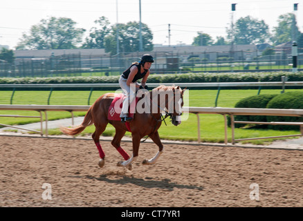 Il Kentucky, Louisville, Churchill Downs, casa del Kentucky Derby, cavallo e cavaliere ginnastica mattutina Foto Stock