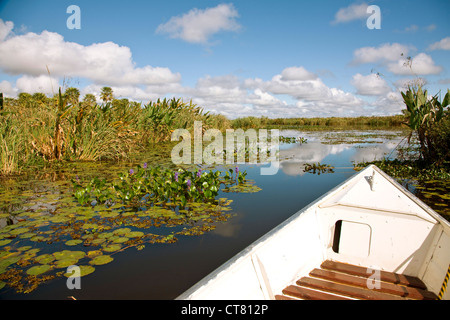 Gita in barca sulla laguna Ibera Foto Stock