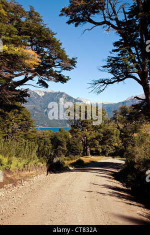 La strada verso il lago Huechulafquen e Volcan Lanin Foto Stock