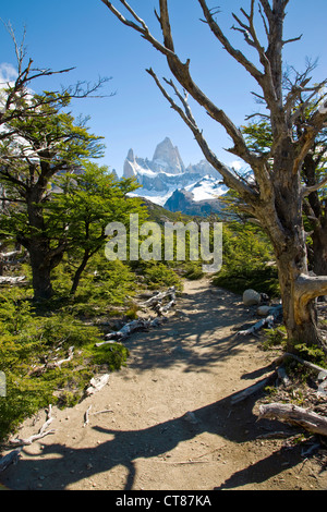 Vista del Monte Fitzroy dal Mirador sulla Laguna de los Tres trail Foto Stock