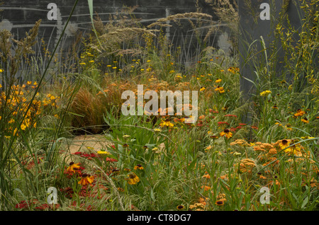 Soft arancione e giallo piantagione contro un vetro acidato parete nella sollevazione giardino alla RHS Hampton Court Palace Flower Show 2012 Foto Stock