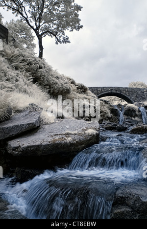 Tre Shires testine a gerle PONTE DI PISCINA Foto Stock