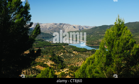 Un serbatoio (El Tranco de Beas) e il bellissimo albero di olivo paesaggio riempito di Las Sierras de Cazorla, Segura y Las Villas Foto Stock