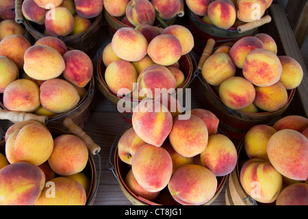 Le pesche in vendita in Fredericksburg, Texas Foto Stock