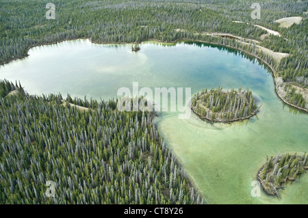 Una vista aerea del lago Jenny e della foresta boreale di conifere, ai margini del Parco Nazionale di Kluane nel territorio di Yukon, Canada. Foto Stock