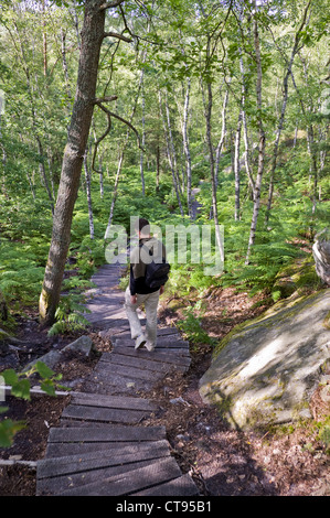 L'uomo trekking nella foresta di Fontainebleau - Parigi, Francia Foto Stock