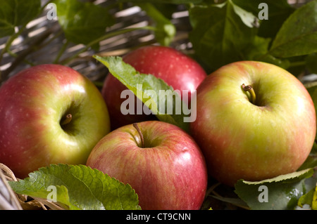 In autunno le mele in un cesto Foto Stock