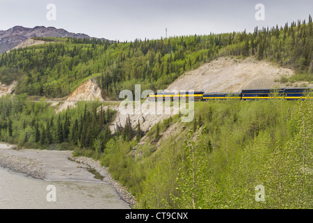 Alaska Railroad (con Holland America auto allegata) Salendo fino al Parco Nazionale di Denali, seguendo il Fiume Nenana letto. Foto Stock